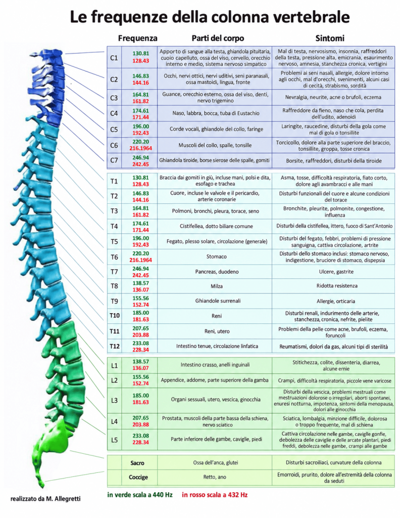 Infografica delle frequenze della colonna vertebrale